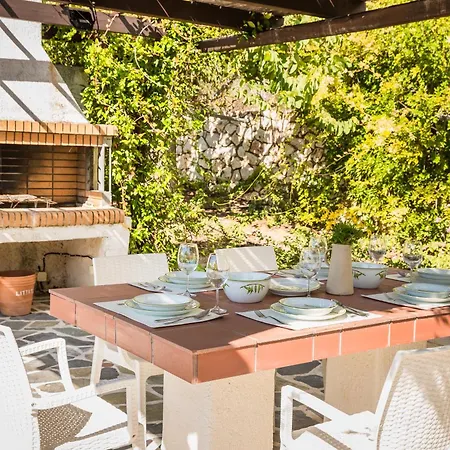 Petri * Трапезаки